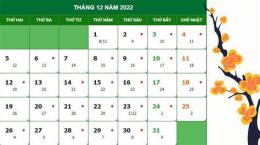 hướng dẫn sử dụng đá gà ngày 25 tháng 12 năm 2022