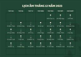 hướng dẫn sử dụng đá gà ngày 30 tháng 12 năm 2023