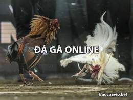 hướng dẫn sử dụng đá gà online đá gà hôm nay