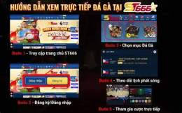 hướng dẫn sử dụng đá gà st666