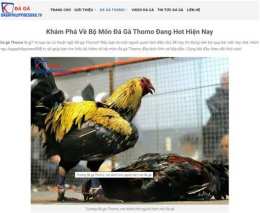 hướng dẫn sử dụng đá gà thomo 10 9
