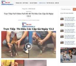 hướng dẫn sử dụng da ga thomo 13 8 2023