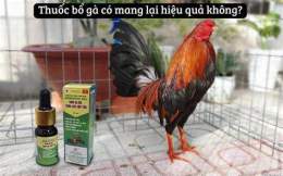 hướng dẫn sử dụng đá gà thomo 14/1