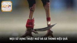 hướng dẫn sử dụng đa ga thomo 1/5