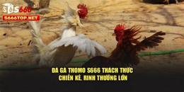hướng dẫn sử dụng đa ga thomo 16 10