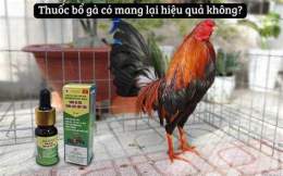 hướng dẫn sử dụng đá gà thomo 18/3