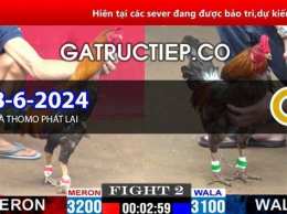 hướng dẫn sử dụng da ga thomo 2/1/2023