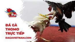 hướng dẫn sử dụng đa ga thomo 7 7 2023