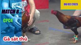 hướng dẫn sử dụng đá gà thomo 8 2