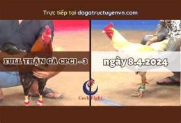 hướng dẫn sử dụng đá gà thomo 8/4/2024