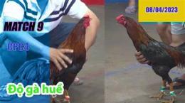 hướng dẫn sử dụng đá gà thomo 9/1