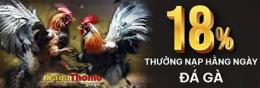 hướng dẫn sử dụng đá gà thomo banner
