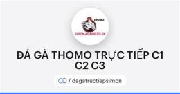 hướng dẫn sử dụng đá gà thomo c3 14 1