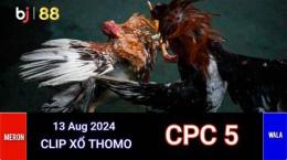 hướng dẫn sử dụng đá gà thomo cpc5