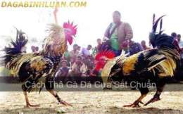 hướng dẫn sử dụng đã gà thomo cua sắt