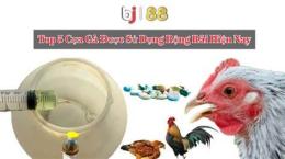 hướng dẫn sử dụng đá gà thomo gatructiep.pro