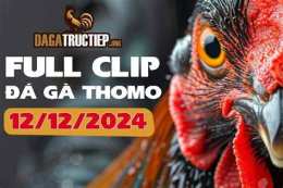 hướng dẫn sử dụng da ga thomo ngay 12 5