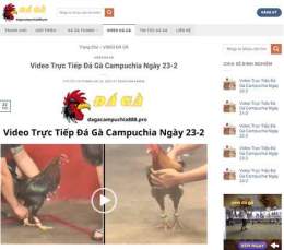 hướng dẫn sử dụng da ga thomo ngay 26 5
