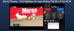hướng dẫn sử dụng đá gà thomo việt nam
