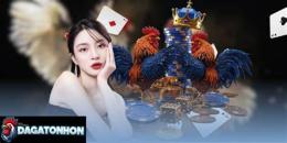 hướng dẫn sử dụng da ga tonhon hazerswoude