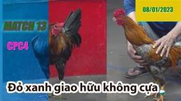 hướng dẫn sử dụng đá gà trận 13 c2 ngày 24