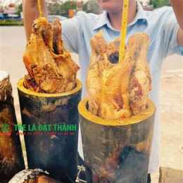 hướng dẫn sử dụng da ga tre 2017