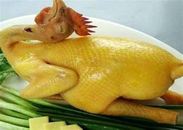 hướng dẫn sử dụng da ga tre hay nhat