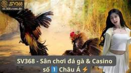 hướng dẫn sử dụng đá gà trên casino trực tiếp