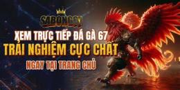 hướng dẫn sử dụng da ga truc tiep 67 c3