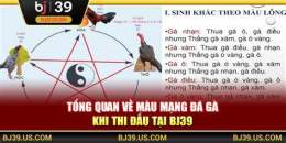 hướng dẫn sử dụng đá gà trực tiếp bj39