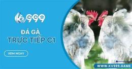 hướng dẫn sử dụng da ga truc tiep casino 999