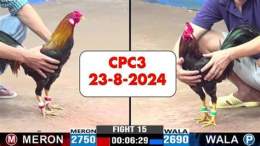 hướng dẫn sử dụng đá gà trực tiếp cpc3 dagatv.online