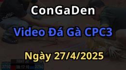 hướng dẫn sử dụng đá gà trực tiếp cpc3 ngày 27
