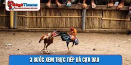 hướng dẫn sử dụng đá gà trực tiếp cựa dao fg3