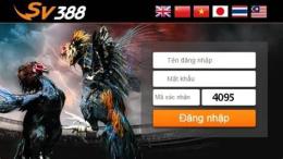 hướng dẫn sử dụng đá gà trực tiếp đăng black