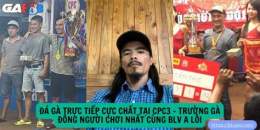 hướng dẫn sử dụng đá gà trực tiếp hôm qua cpc3