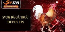 hướng dẫn sử dụng da ga truc tiep sv 388
