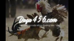 hướng dẫn sử dụng đá gà trực tiếp tructiepdaga