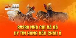 hướng dẫn sử dụng đá gà trực tiếp.io