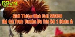 hướng dẫn sử dụng đá gà trực tiêpsv388