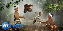 hướng dẫn sử dụng đá gà trực tuyến f8bet.bike
