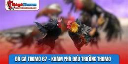 hướng dẫn sử dụng đá gà trường gà 67