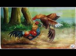 hướng dẫn sử dụng đá gà vẽ