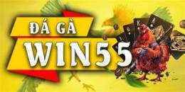 hướng dẫn sử dụng đá gà win55