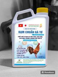 hướng dẫn sử dụng đạm cá cho gà đá