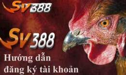 hướng dẫn sử dụng đăng ký đá gà trực tuyến