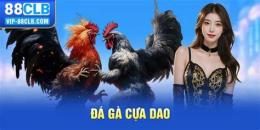 hướng dẫn sử dụng đăng nhập đá gà cựa dao