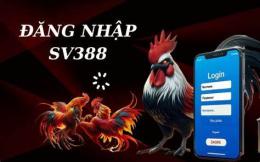 hướng dẫn sử dụng đăng nhập đá gà sv388
