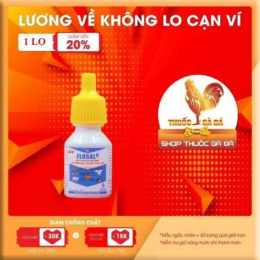 hướng dẫn sử dụng gà đá bị khò khè cho uống thuốc gì