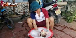 hướng dẫn sử dụng ga da cua sat moi nhat 2016